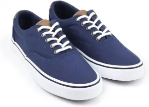 ANTLULU Mens Canvas Shoes Low Top Fashion Sneakers Lace Up Casual Shoes